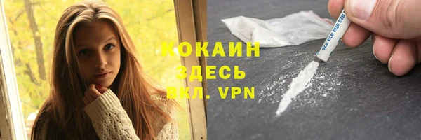 тгк Бородино