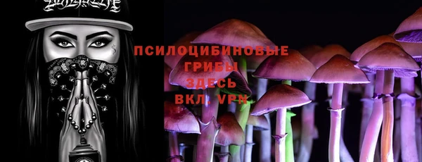 тгк Бородино