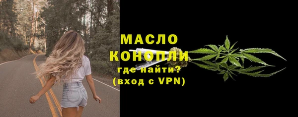 тгк Бородино