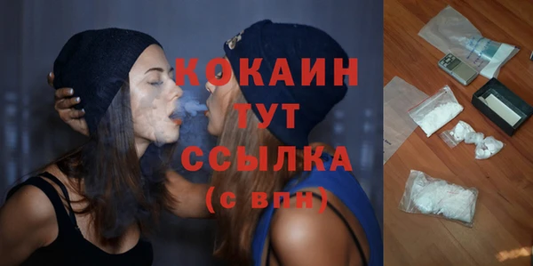 тгк Бородино