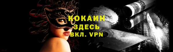тгк Бородино