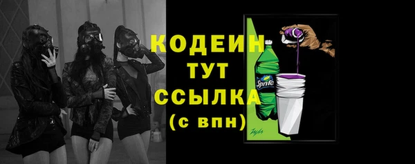 тгк Бородино