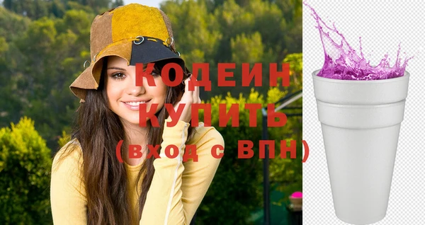 тгк Бородино