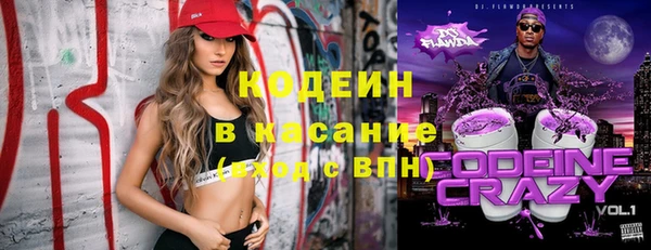тгк Бородино