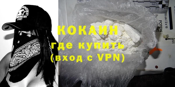 тгк Бородино