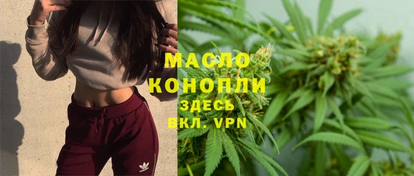 тгк Бородино